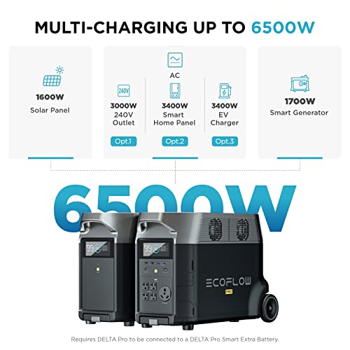 EF ECOFLOW 120V Home Battery Backup: 3600Wh Portable Power Station DELTA Pro with Transfer Switch+Adapter Cord